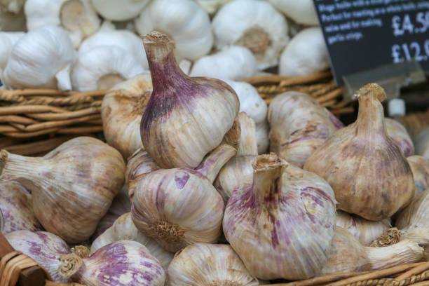 تصویر 1 از سیر صادراتی خشک با طعم قوی و ماندگاری طولانی